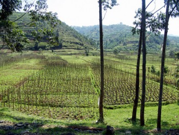 What are the major cities in Rwanda right now?