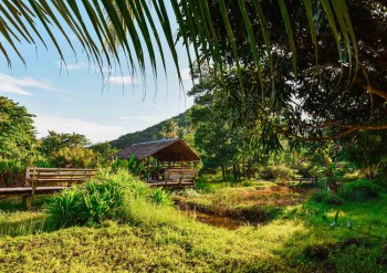 Explorez les îles hawaïennes avec votre visa de voyage