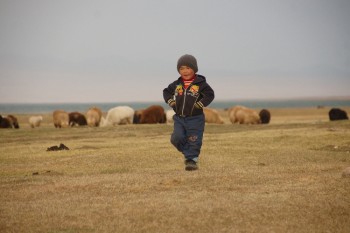 Niño de Kirguistán en la pradera mientras las ovejas pastorean