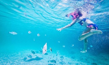 Snorkel con peces en la playa