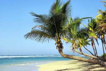 Découvrez si vous avez besoin un visa pour visiter les plages de Cuba.