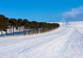 Camino montañoso nevado