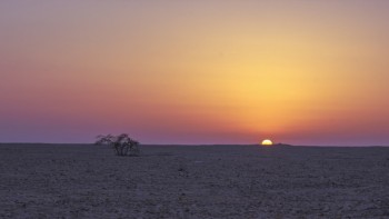 Paisaje desértico en Bahrein al atardecer