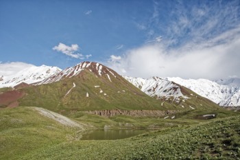Montañas nevadas con bosques verdes