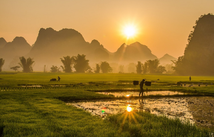 What do you need to travel to Vietnam? What do you need to travel to Vietnam?