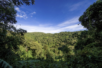 The best top 6 things to do in Uganda The best top 6 things to do in Uganda