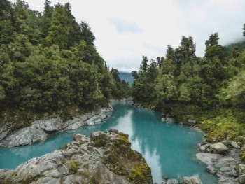 lake with trees in New Zealand