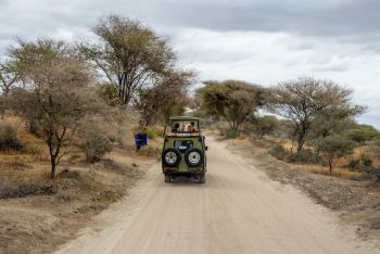 How to travel in Kenya How to travel in Kenya