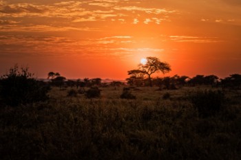 Enjoy the sunrise with tanzania entry requirements US citizens