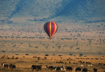 visa for Kenya from UK to visit the savannah