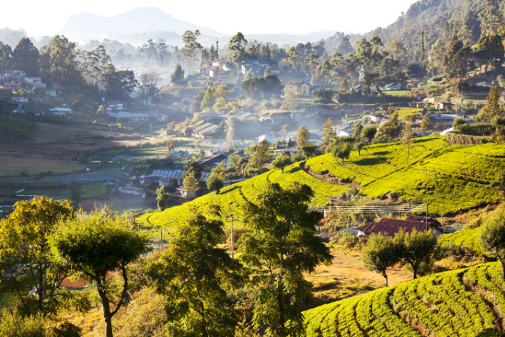 Sri Lanka visa for US citizens: How to get it and other requirements
