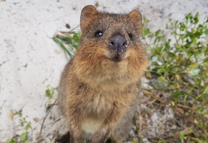 Guía para viajar a Australia: Todo lo que necesitas saber
