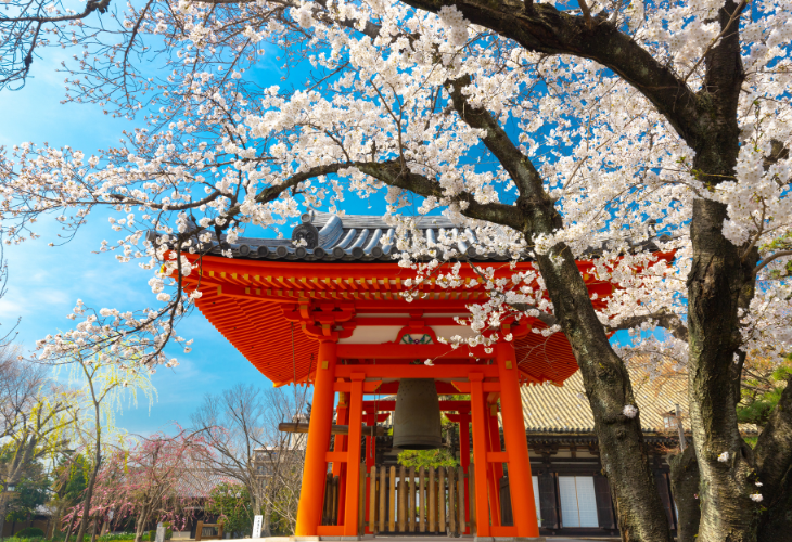 Learn about the new Japan digital nomad visa