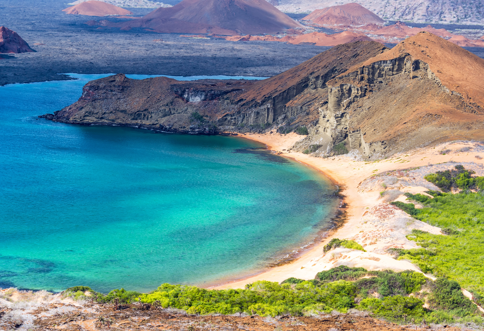 The Galapagos Islands