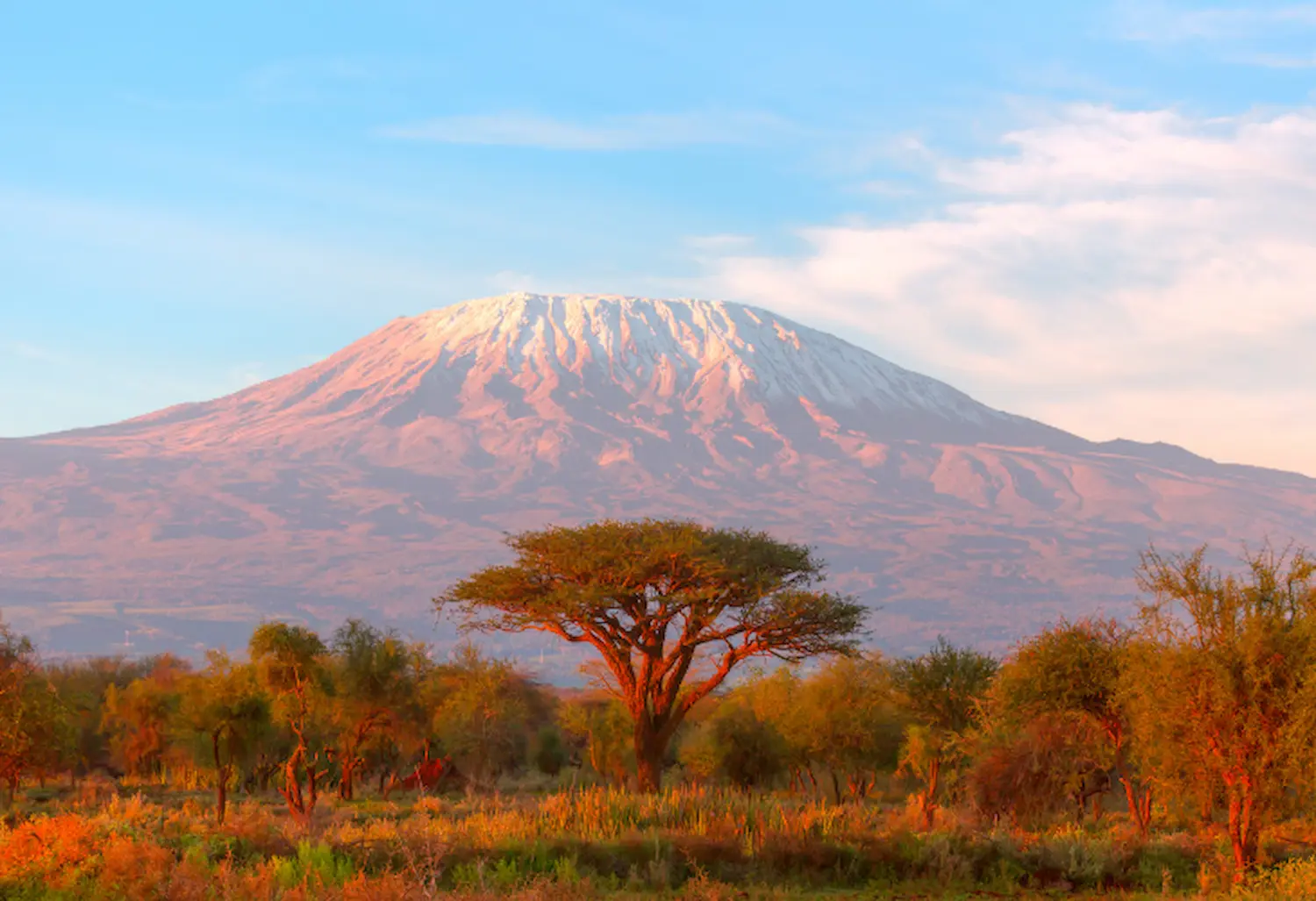 Visado Tanzania para españoles - requisitos