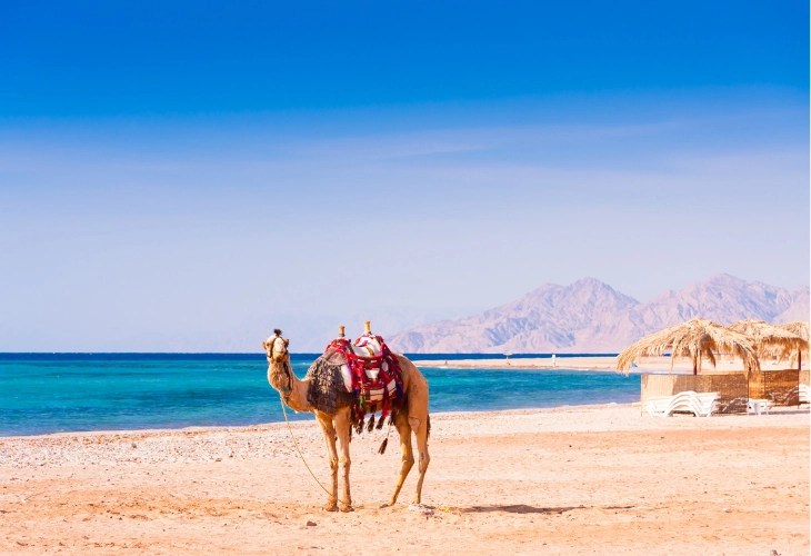 Discover how to get a visa for Egypt from Australia