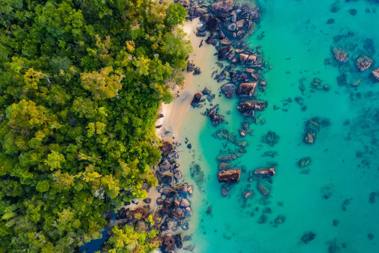 When to visit Madagascar? Seasons and essential tips