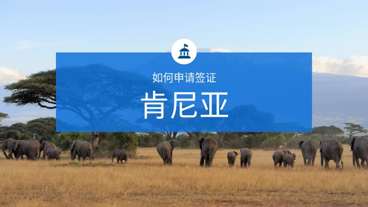 如何获得肯尼亚签证