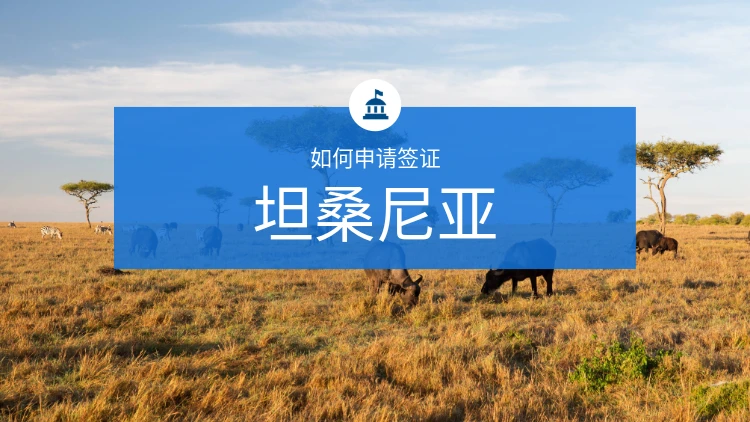 如何办理坦桑尼亚签证