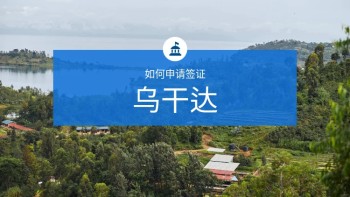乌干达布温迪难以穿越国家公园的山地大猩猩
