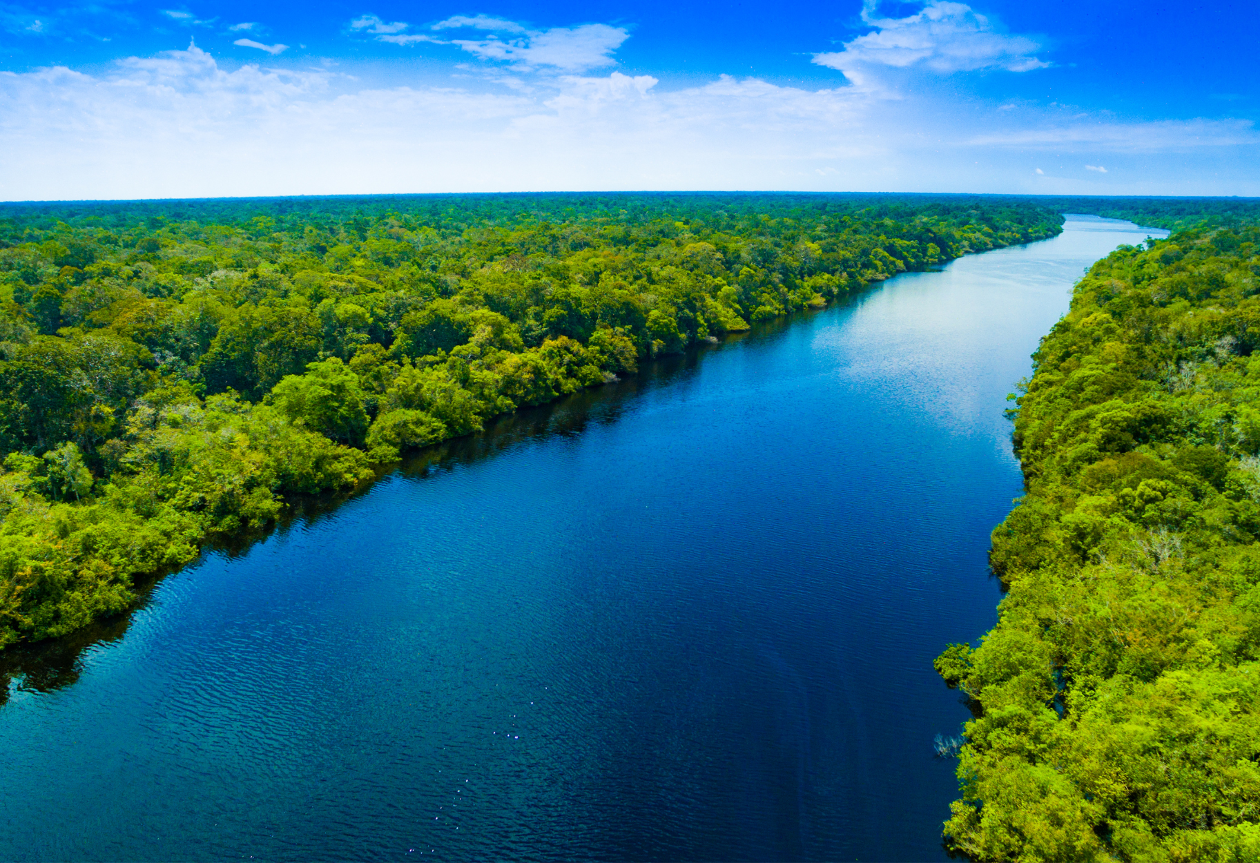Vista del río Amazonas rodeado de vegetación selvática