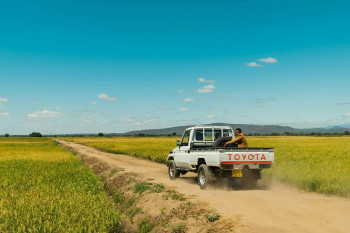 Scopri se è sicuro viaggiare in Tanzania per vedere il Kilimangiaro.