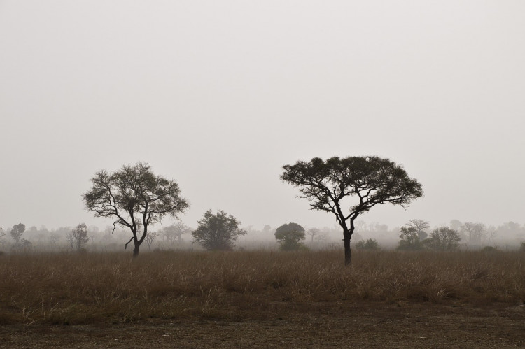 Reisen nach Cotonou: Entdecken Sie die größte Stadt Benins