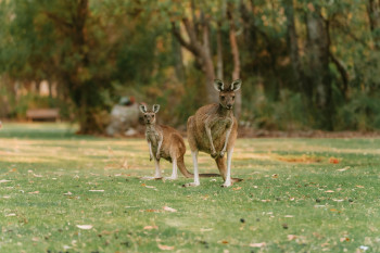 Perth, WA, Australien