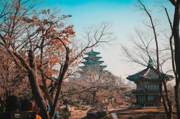 Palácio Gyeongbokgung no outono, um dos locais imperdíveis para visitar em Seul, na Coreia do Sul